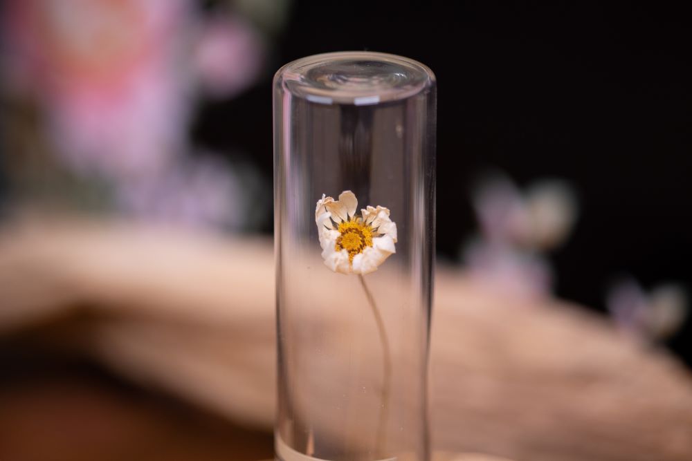 1995 Moon Daisy VIAL