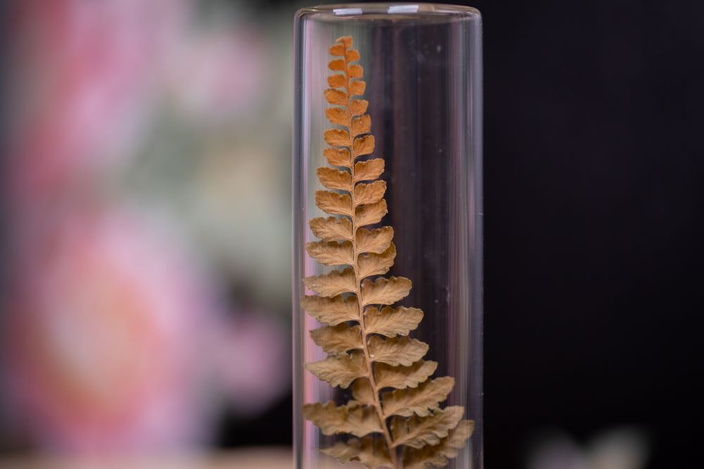 1980's Necklace Fern VIAL