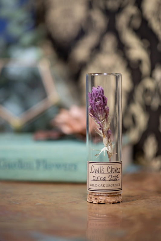 2005 Owl's Clover VIAL