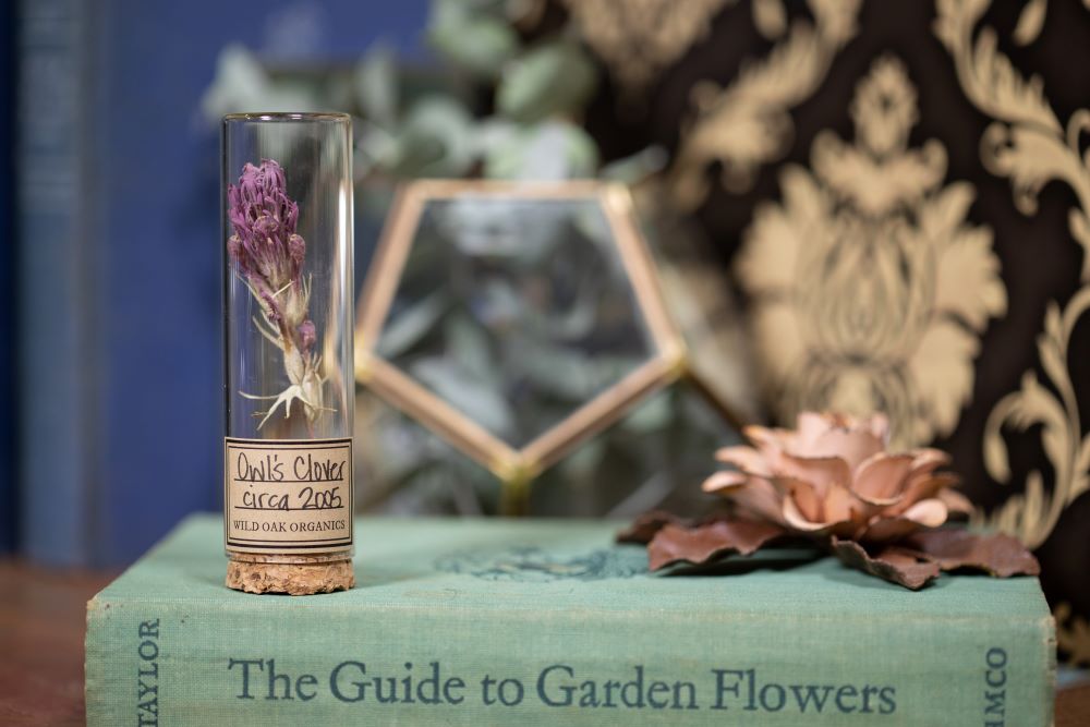 2005 Owl's Clover VIAL