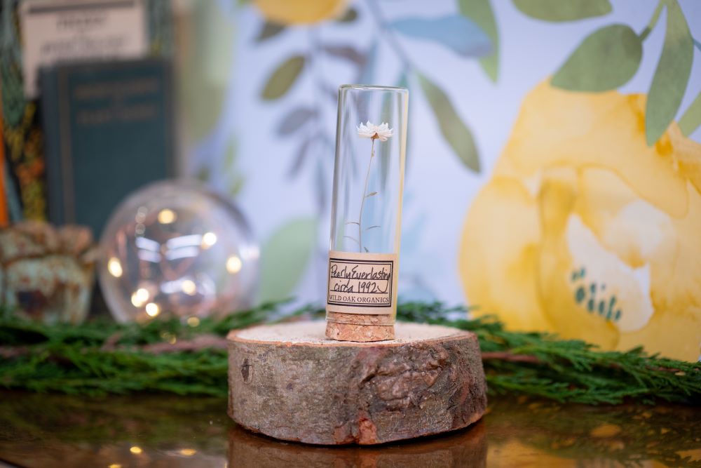 1992 / 1995 Pearly Everlasting VIAL