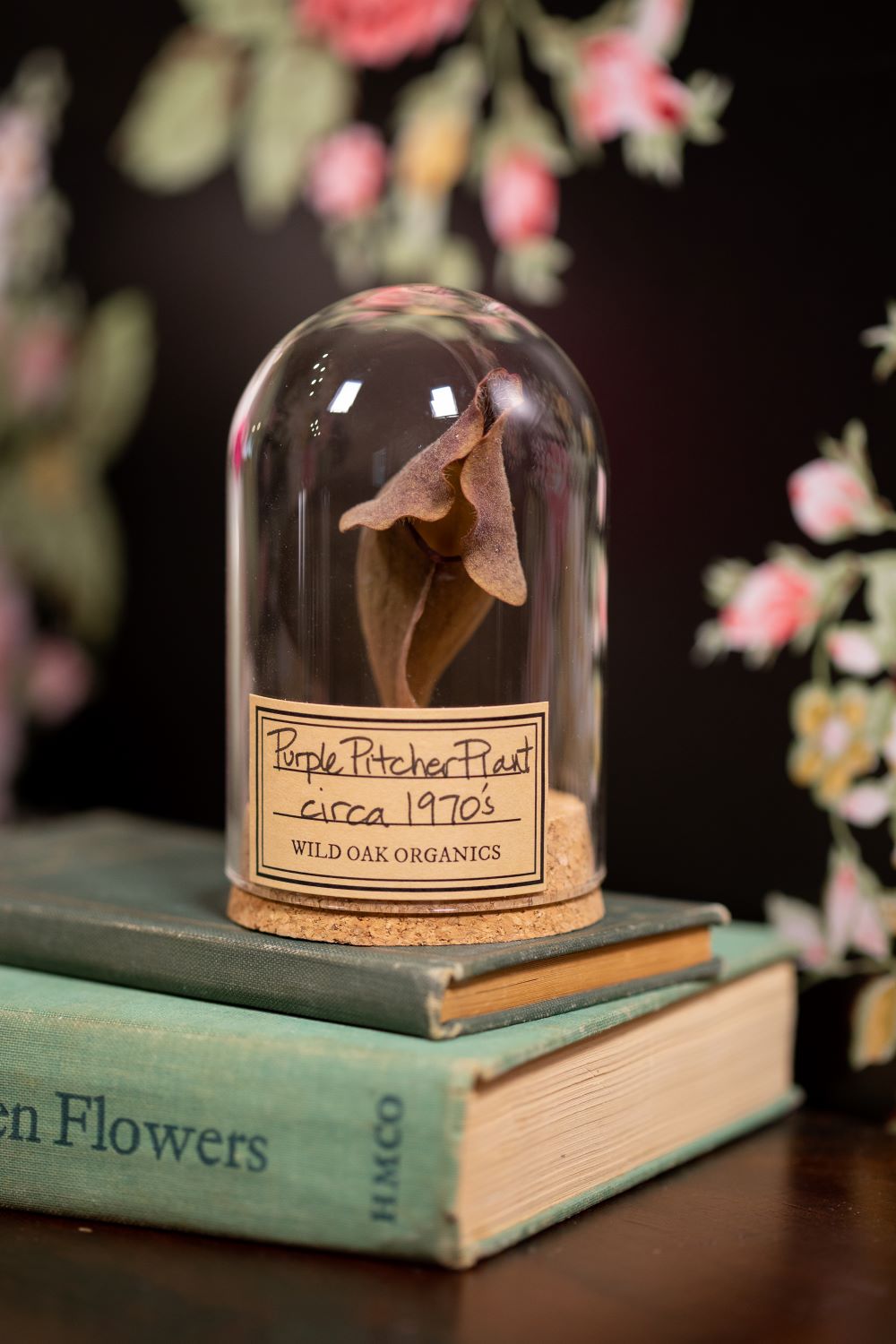 1970's 1973 Purple Pitcher Plant CLOCHE