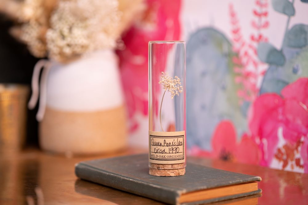 1990 Queen Anne's Lace VIAL