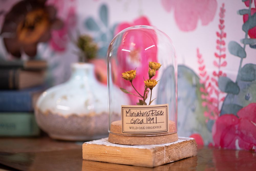 1990's / 1991 / 1994 Miniature Rose CLOCHE