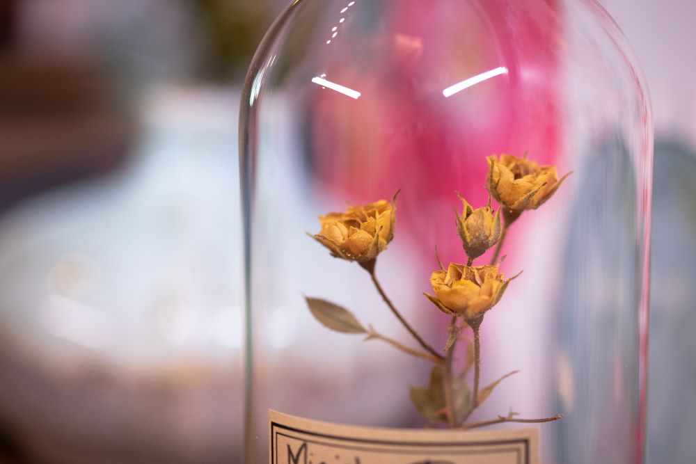 1990's / 1991 / 1994 Miniature Rose CLOCHE