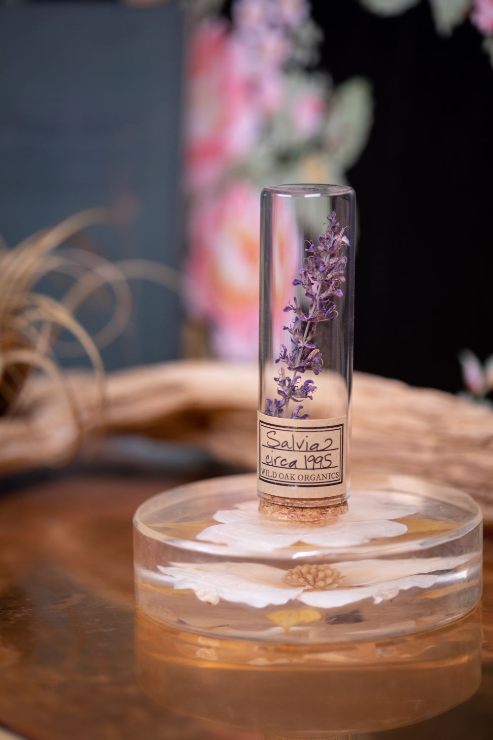 1995 Salvia VIAL
