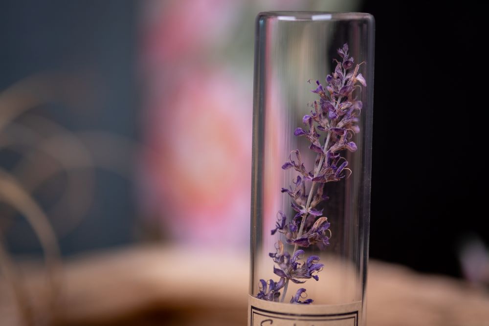 1995 Salvia VIAL