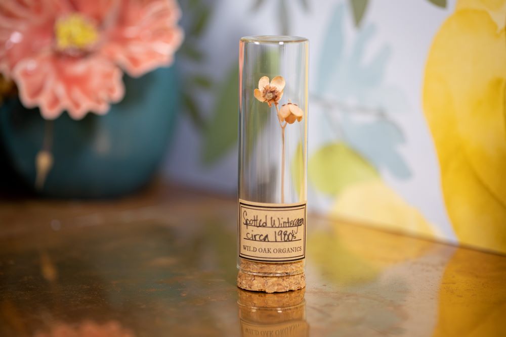 1980's Spotted Wintergreen VIAL
