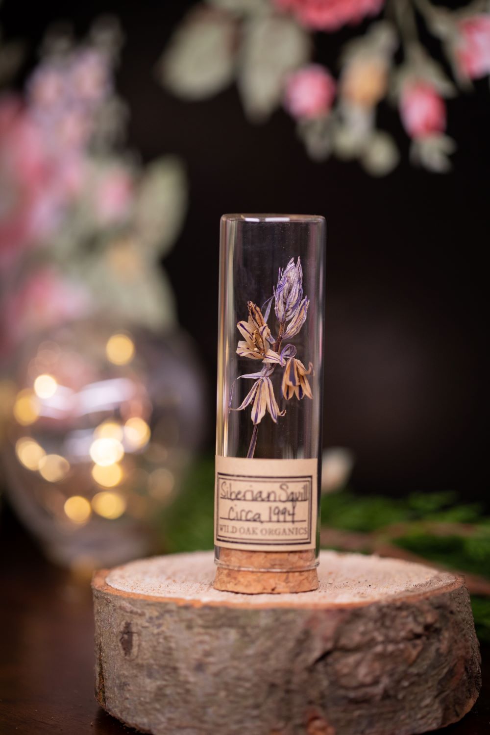 1993/1994 Siberian Squill VIAL