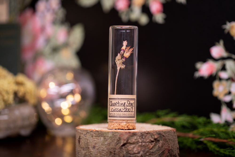2007 Shooting Star VIAL