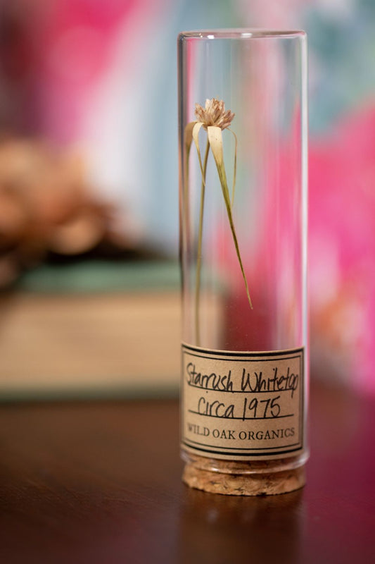 1975 Starrush Whitetop VIAL