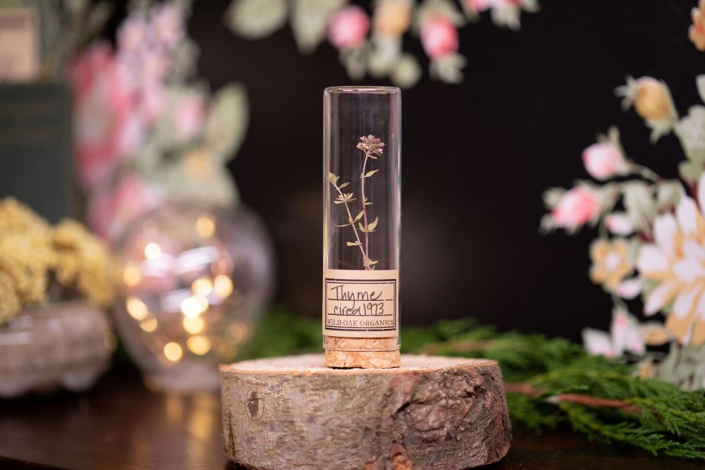 1973 Thyme VIAL