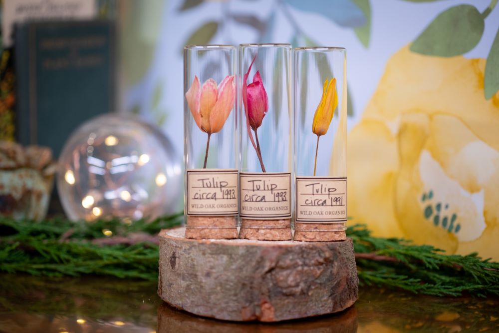 1991 / 1994 Tulip VIAL