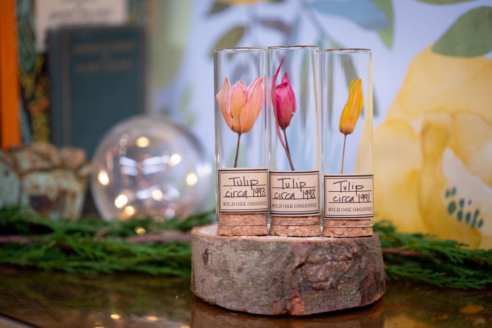 1991 / 1994 Tulip VIAL