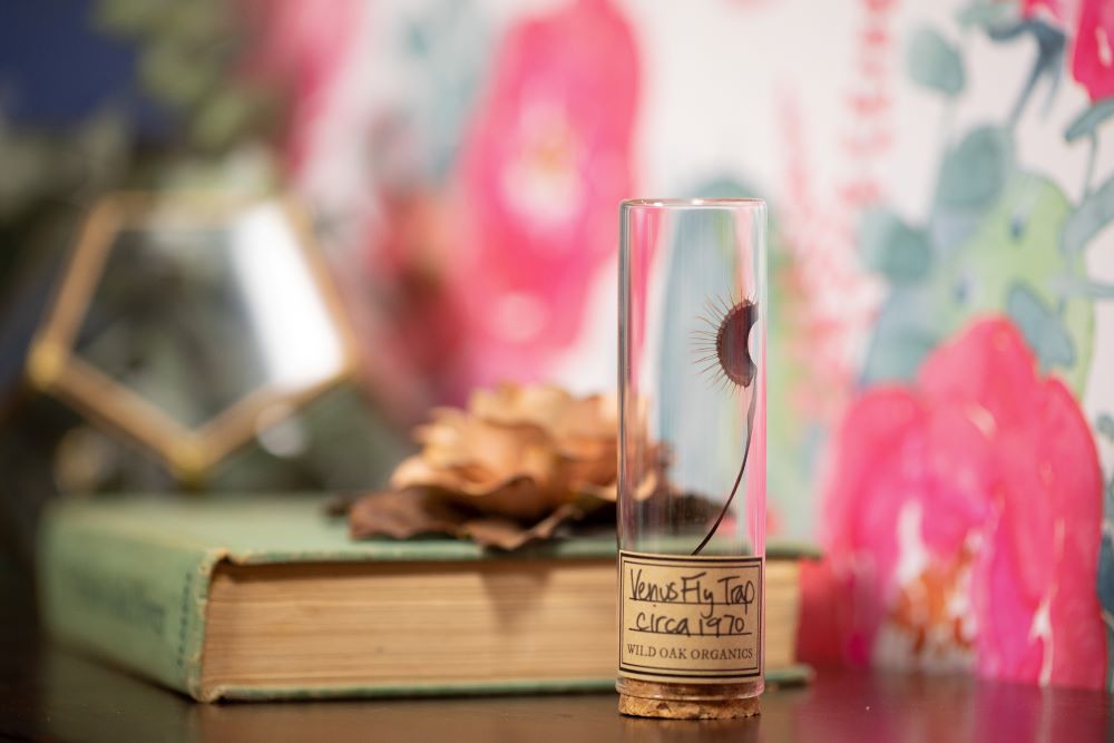 1970 Venus Fly Trap VIAL