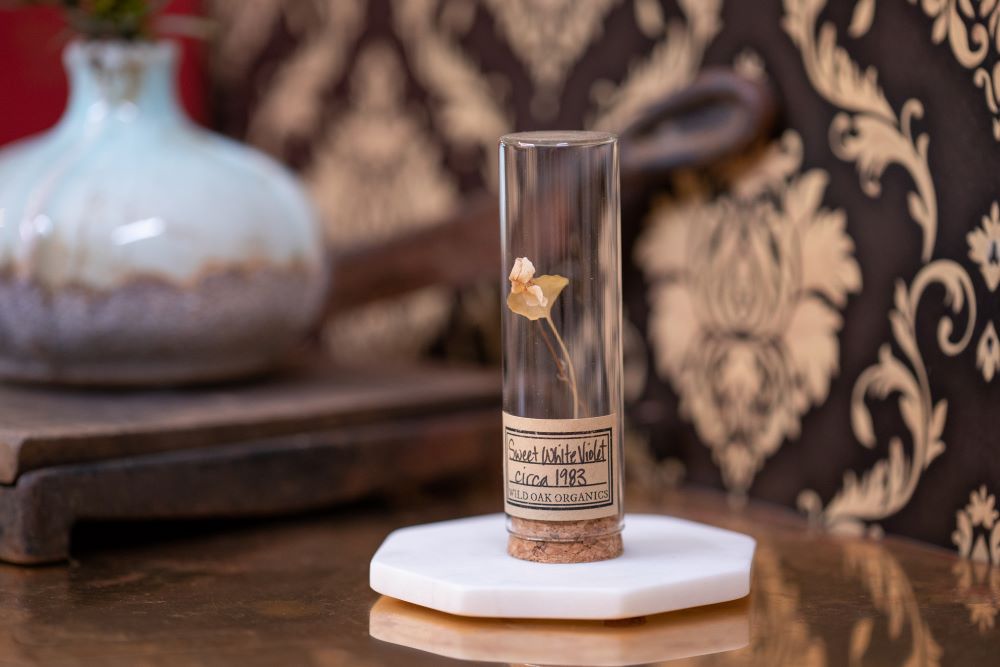 1983 Sweet White Violet VIAL
