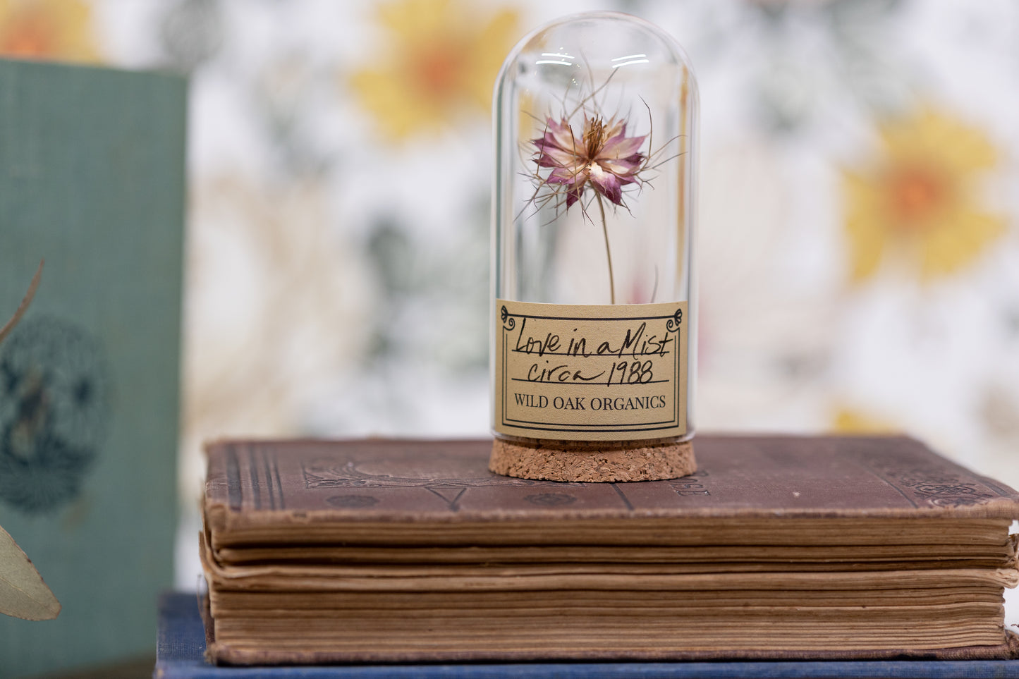 1988 Love in a Mist CLOCHE