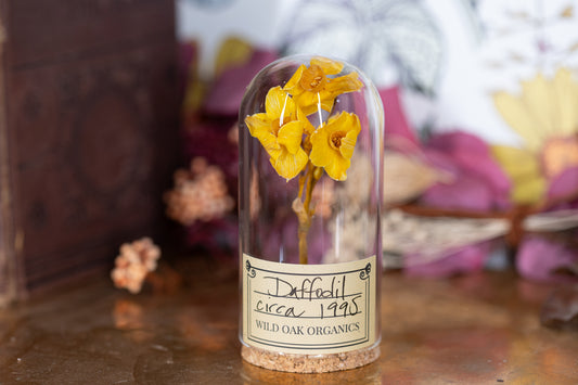 1991 / 1995 Daffodil CLOCHE