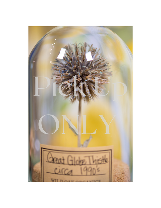 1990's / 1995 Globe Thistle CLOCHE