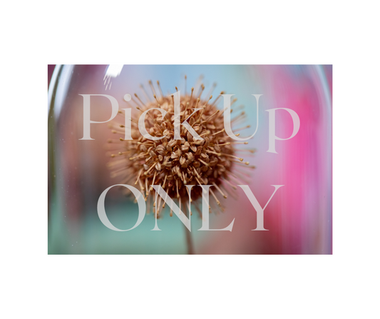 1990 Buttonbush CLOCHE