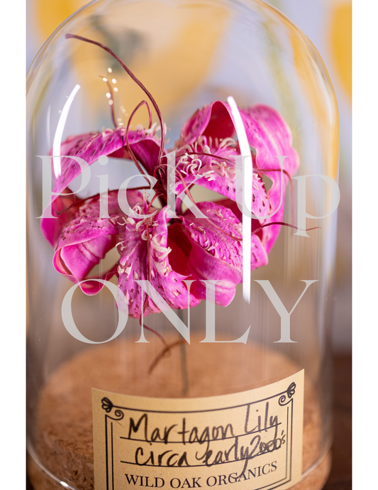 Early 2000's Martagon Lily CLOCHE