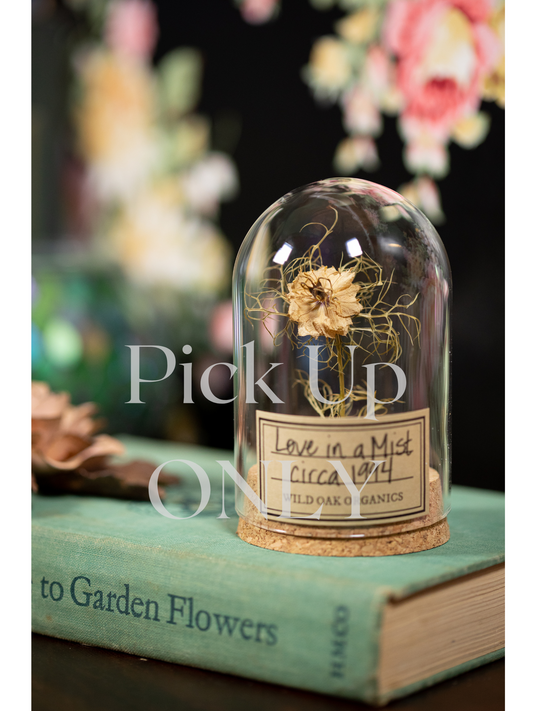 1994 Love in a Mist CLOCHE