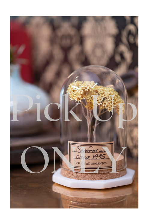 1995 Sanfordi CLOCHE