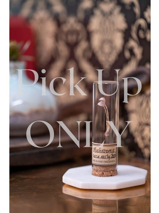 Early 2000's Mushroom VIAL