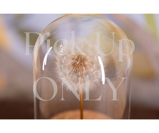 1990's / 1997 Dandelion CLOCHE