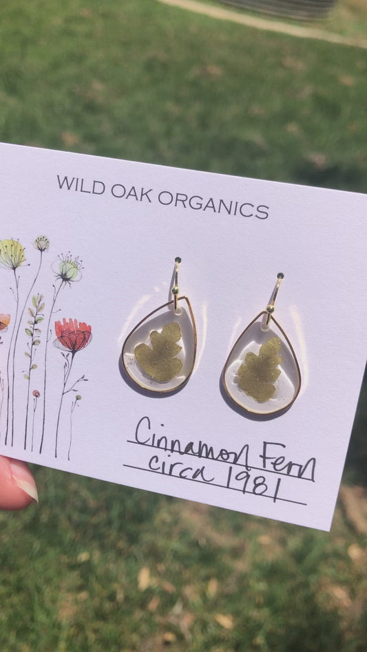 1981 Cinnamon Fern Earrings