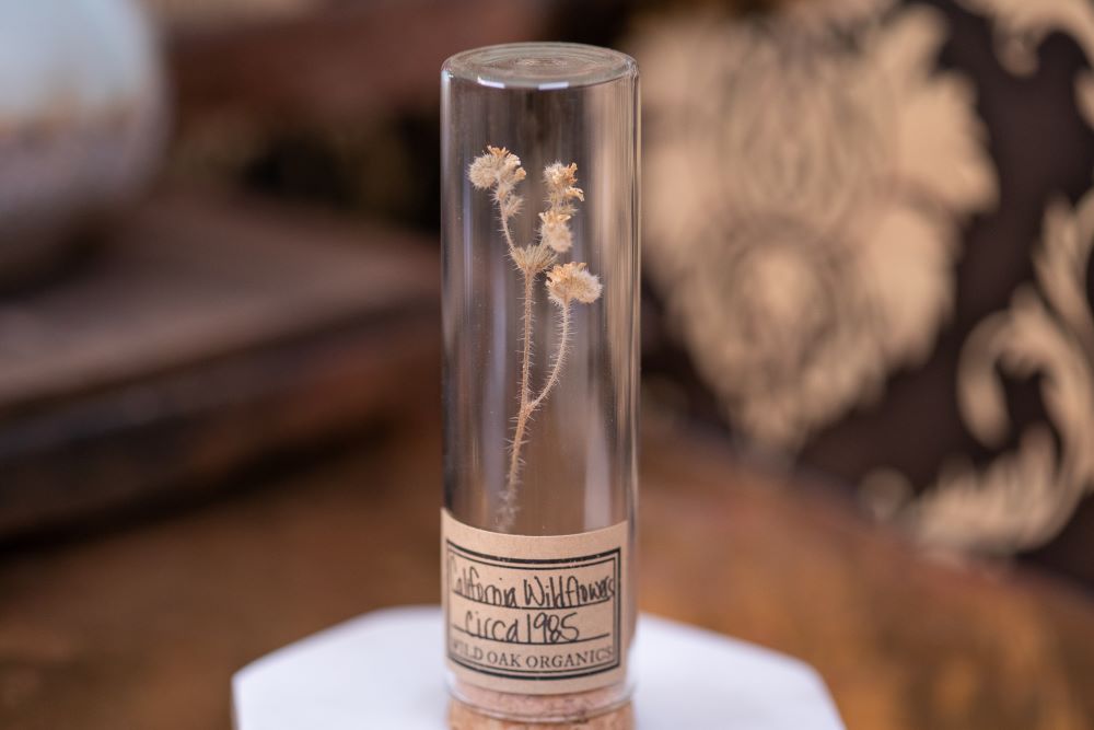 1985 California Wildflower VIAL