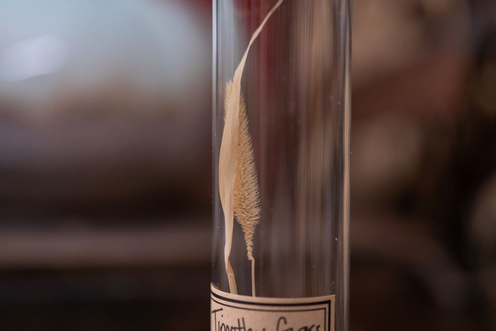 1975 Timothy Grass VIAL