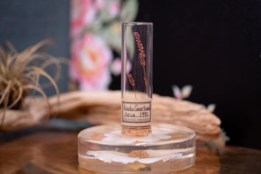 1990 Asiatic Smartweed VIAL