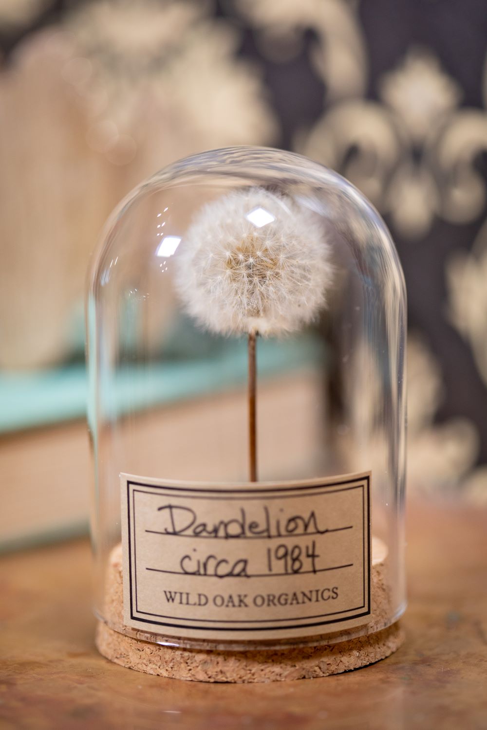 1981 / 1983 / 1984 Dandelion CLOCHE