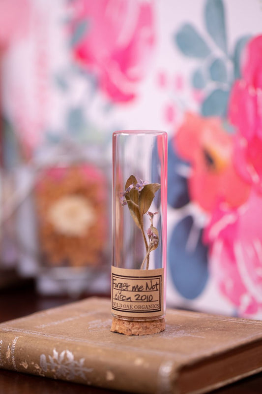 2010 Forget me Not VIAL