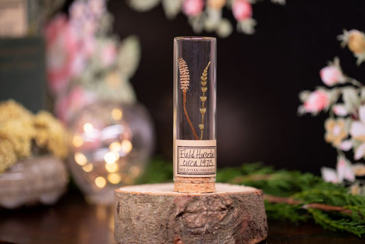 1975 Field Horsetail VIAL