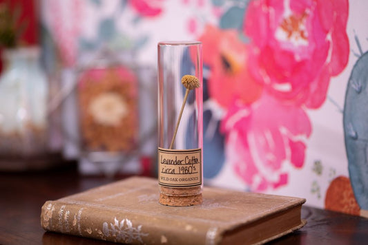 1980's Lavender Cotton VIAL