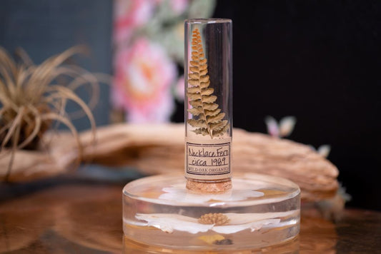 1980's Necklace Fern VIAL