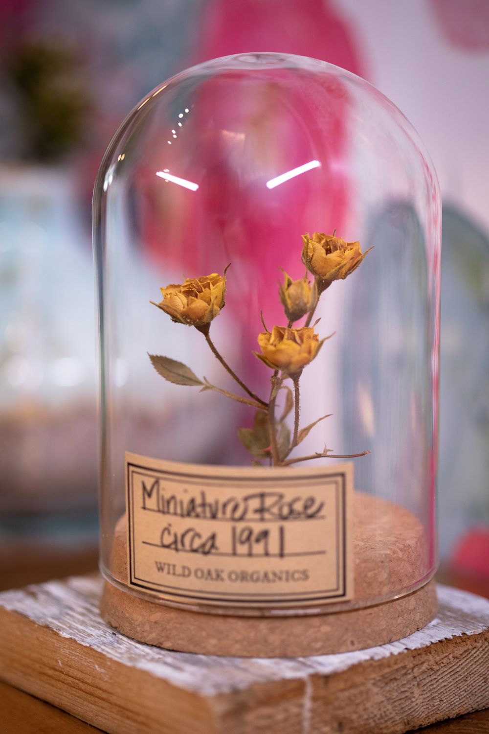 1990's / 1991 / 1994 Miniature Rose CLOCHE