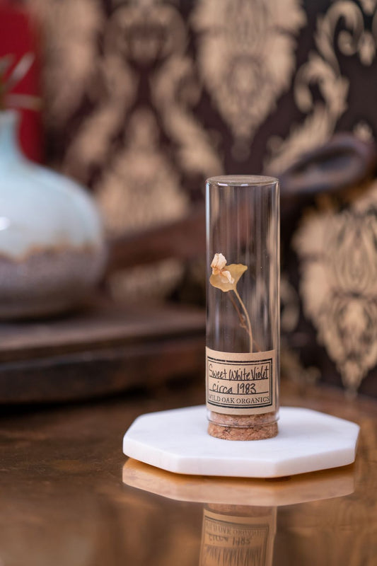 1983 Sweet White Violet VIAL