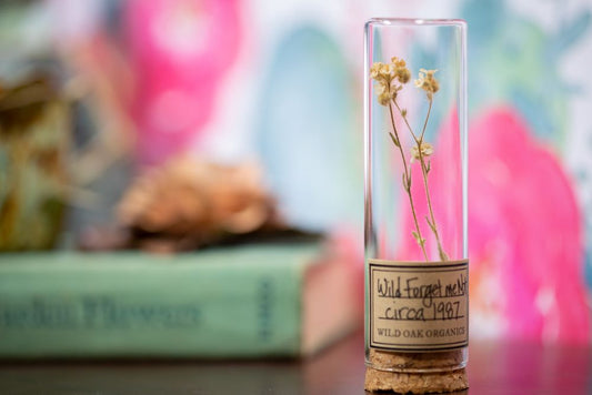 1987 Wild Forget me Not VIAL